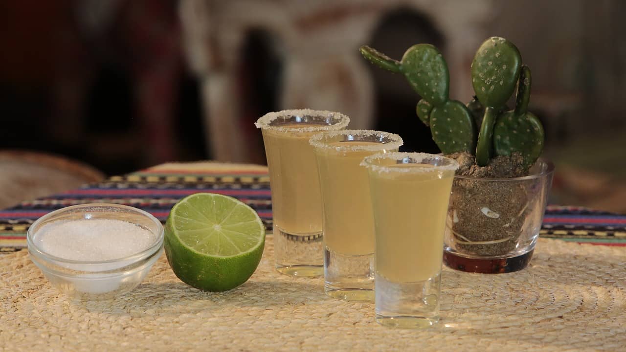 Margaritas with cactus and lime on a table.