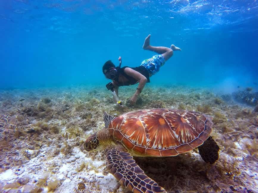 A man scuba diving with a turtle.