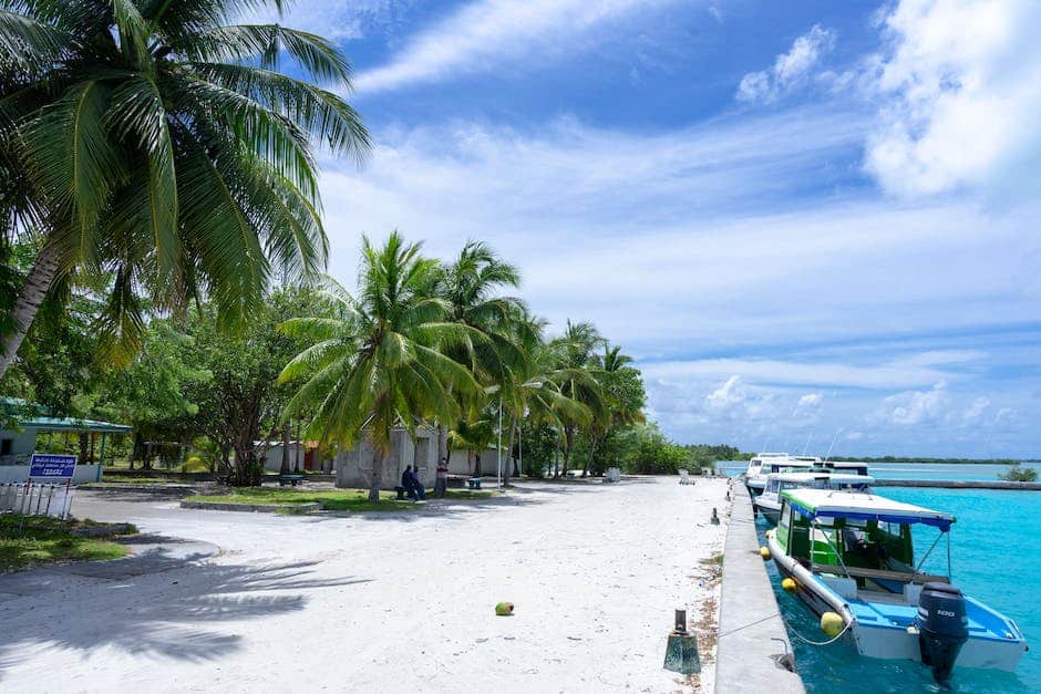 A beach with palm trees and a boat docked in the water.