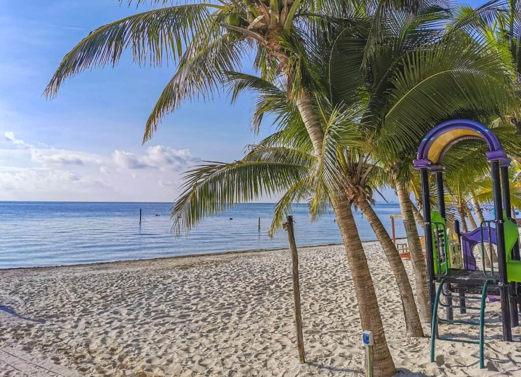 A beach in Cancun with palm trees.