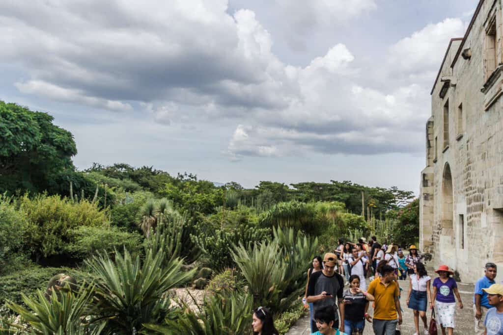 A group of people strolling through a picturesque garden in Oaxaca during October's weather.