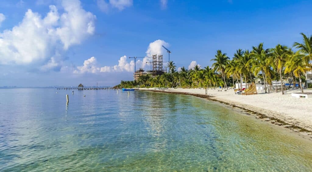A beach with palm trees and a construction site.