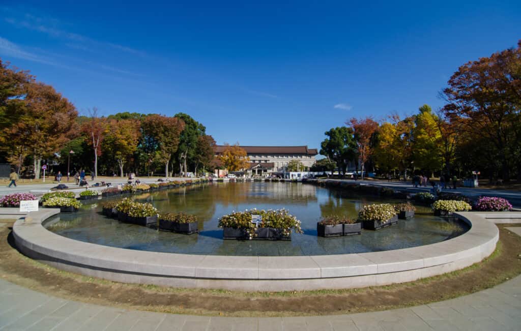 A pond in the middle of a park with trees around it.