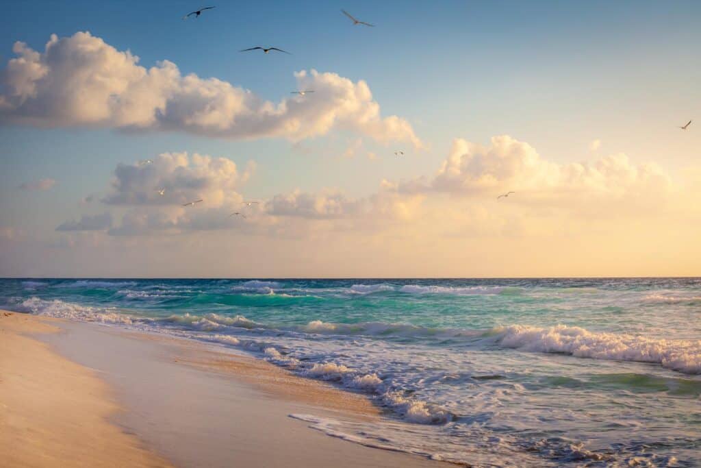 A beach with seagulls flying over it at sunset.