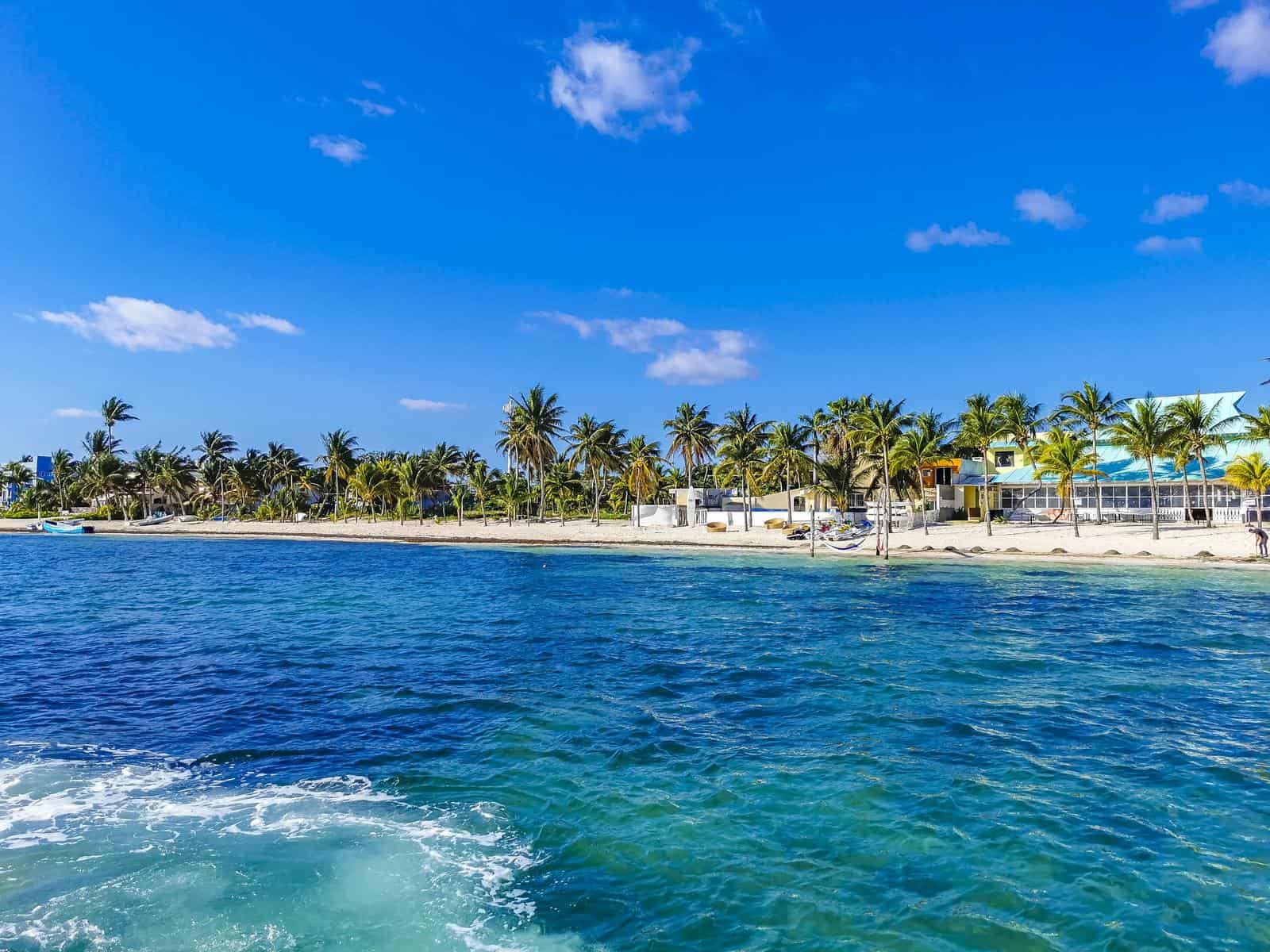 A view of a beach with palm trees and a boat in the water.