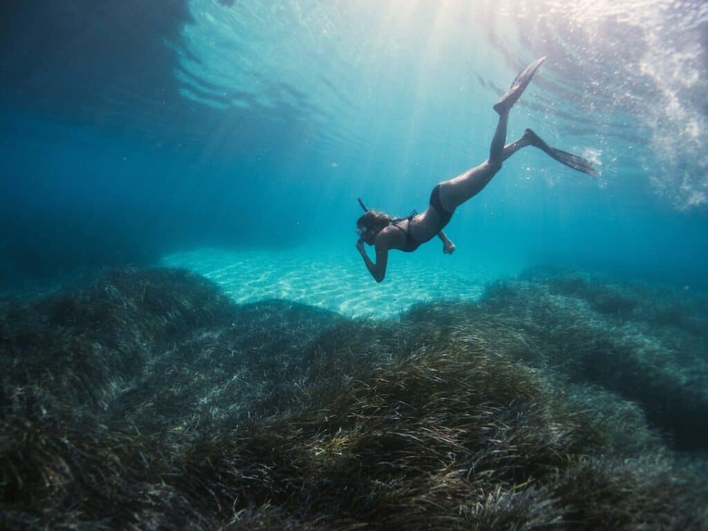 A woman snorkling in the water near a grassy area.
